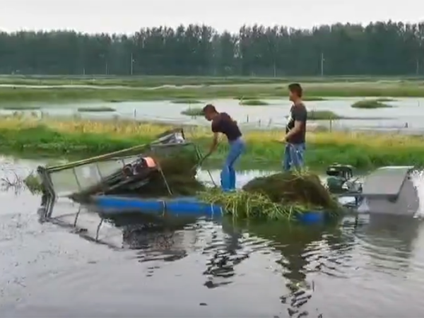 小型(xíng)割草(cǎo)船